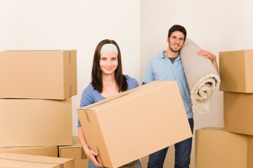 Accessibility support information for Colindale moving services